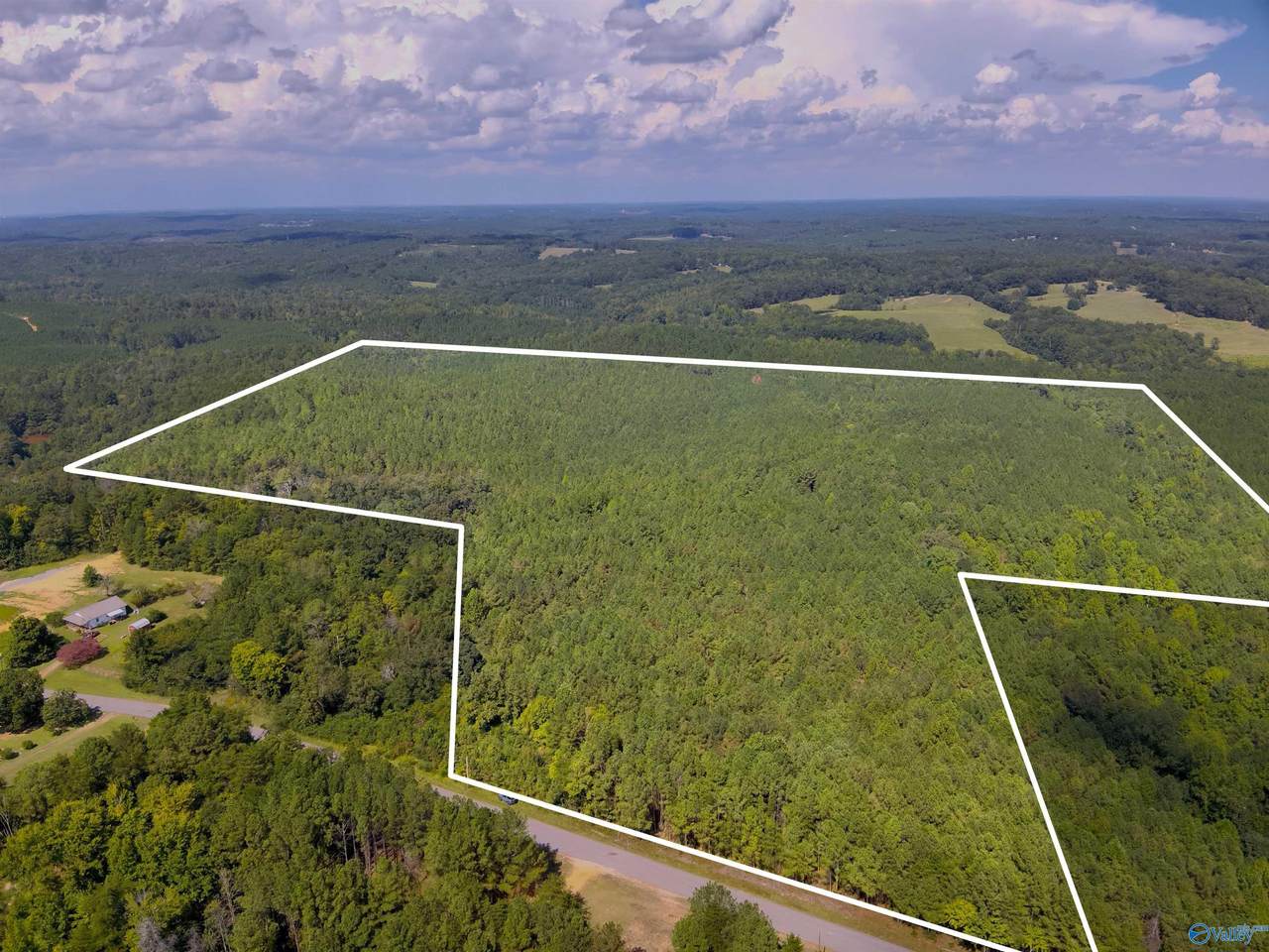 103 Acres County Road 20 - Photo 1