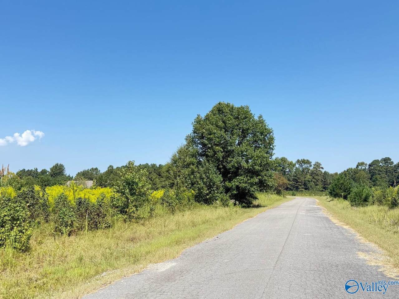 1 acre lot County Road 487 - Photo 1