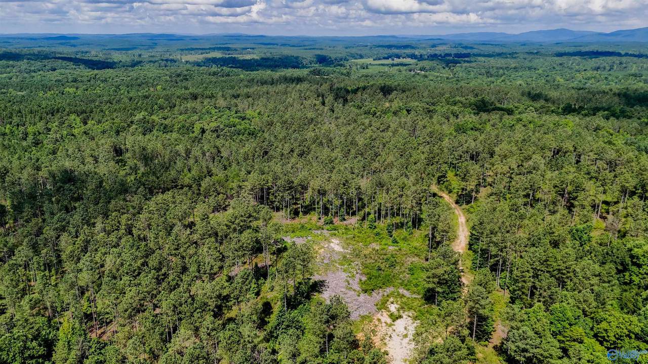 1 County Road 65 - Photo 1