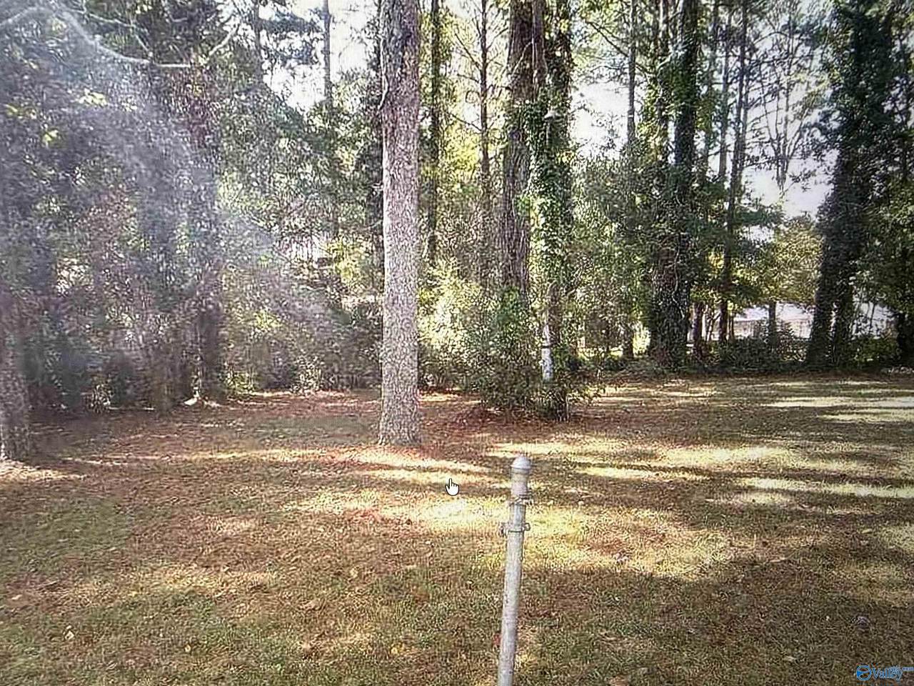 1709 Elwyn Ave. Elwyn Avenue - Photo 1