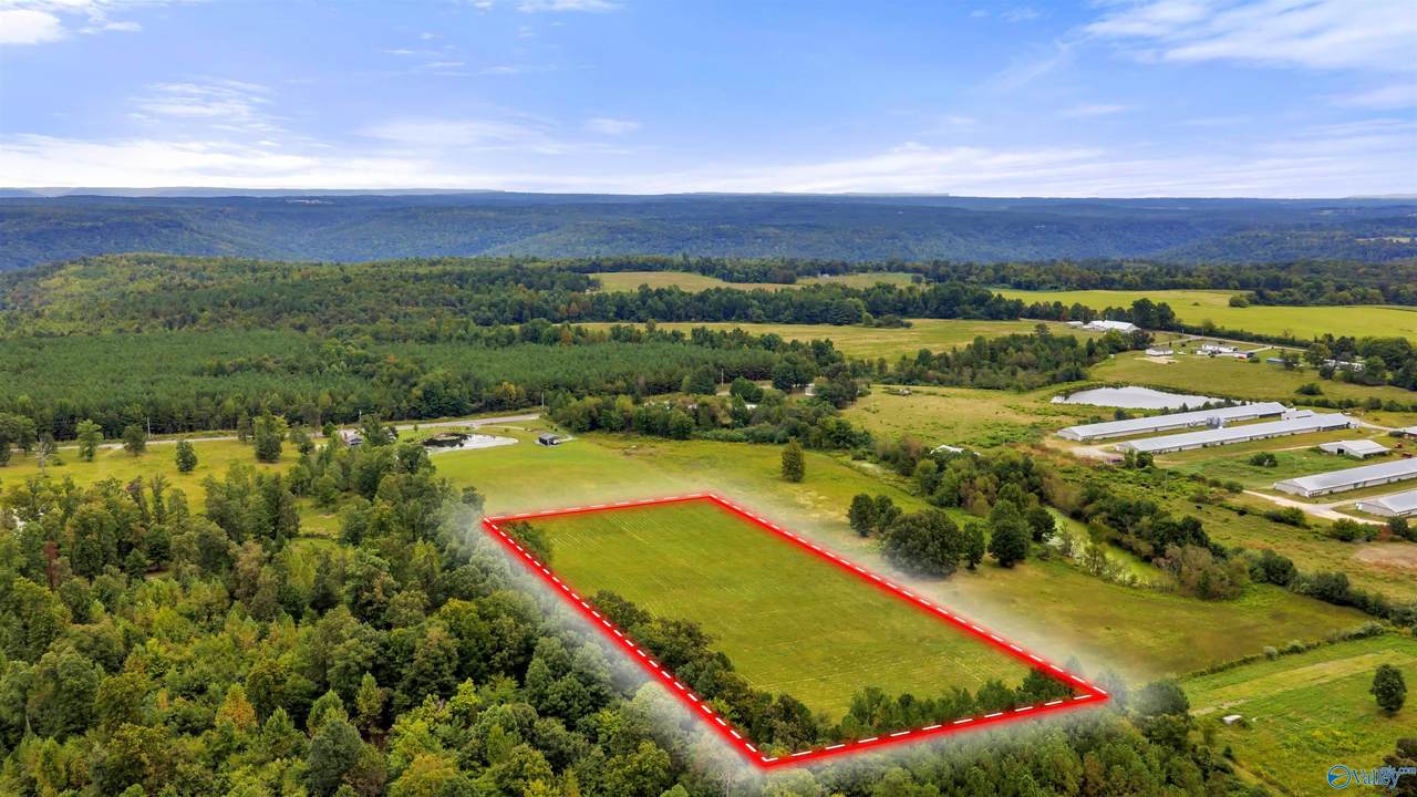 5+/- Acres County Road 426 - Photo 1