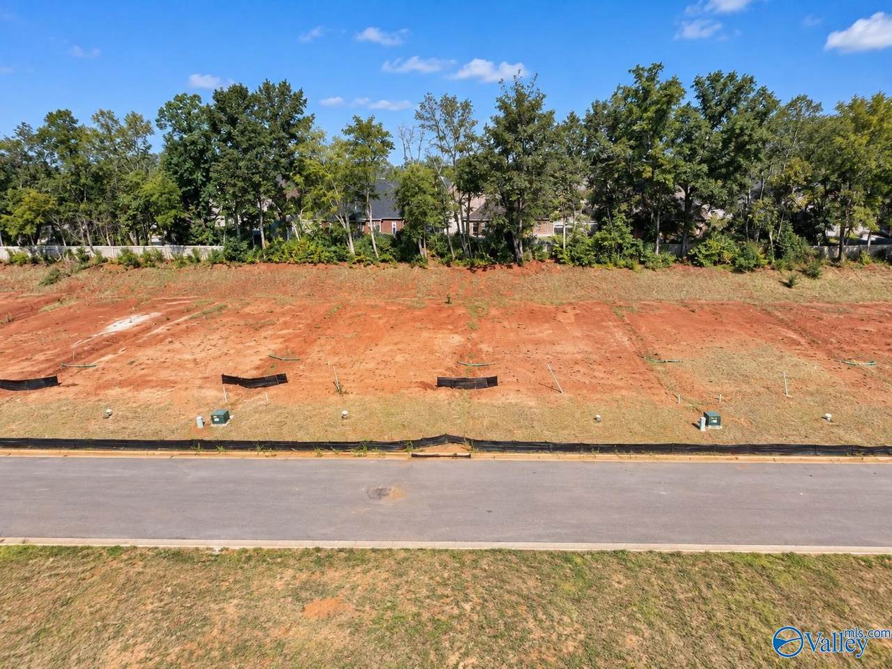 12326 Laxmi Street - Photo 1