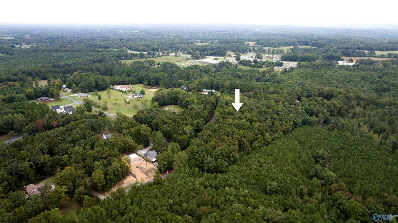 4.18 acres Paula Reed Road - Photo 1