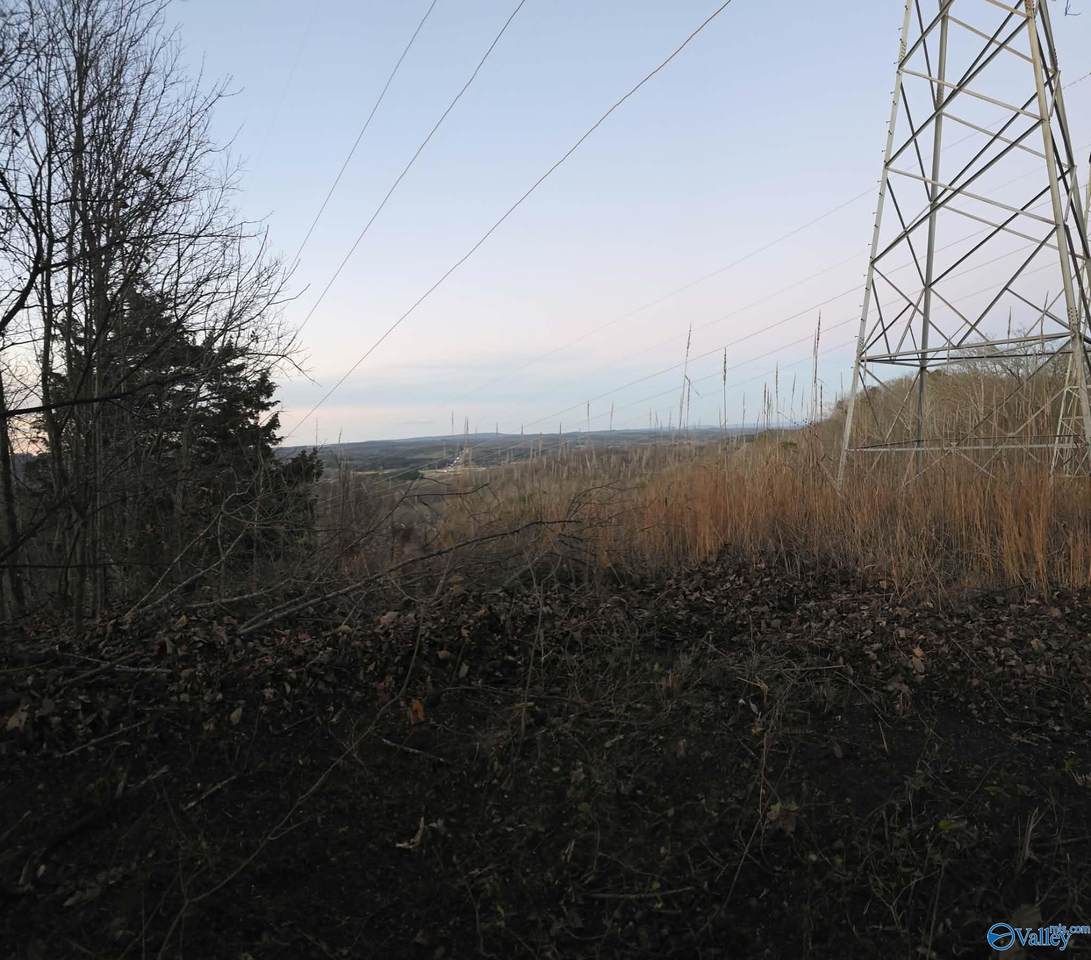 https://bt-photos.global.ssl.fastly.net/nalmls/1280_boomver_1_21930327-2.jpg