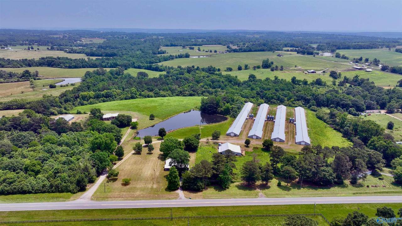 602 Highway 231 - Photo 1