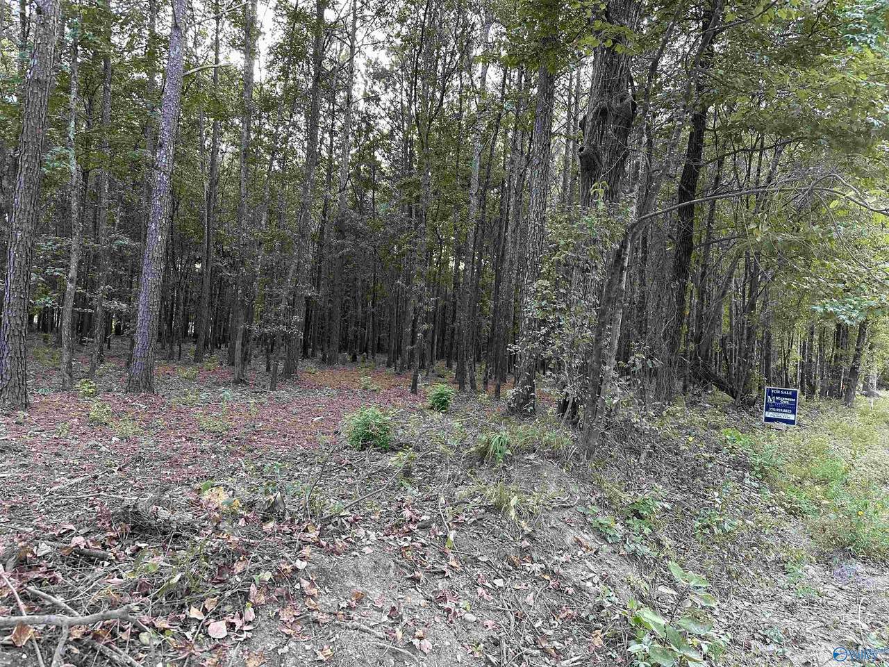 24 County Road 1011 - Photo 1