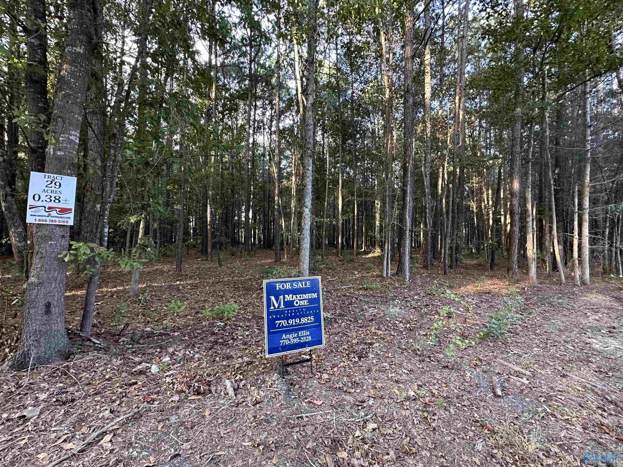 24 County Road 1011 - Photo 1