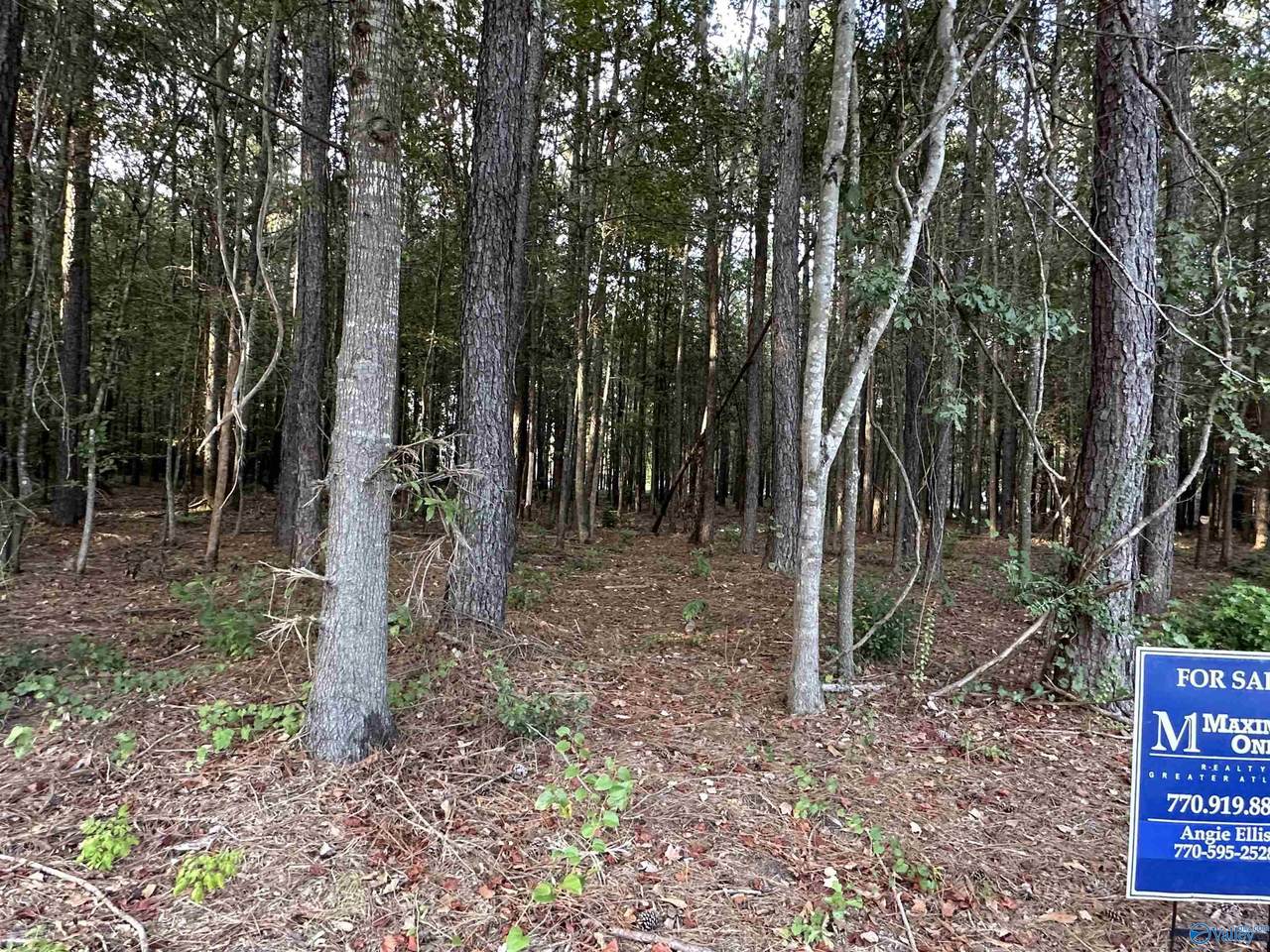 24 County Road 1011 - Photo 1