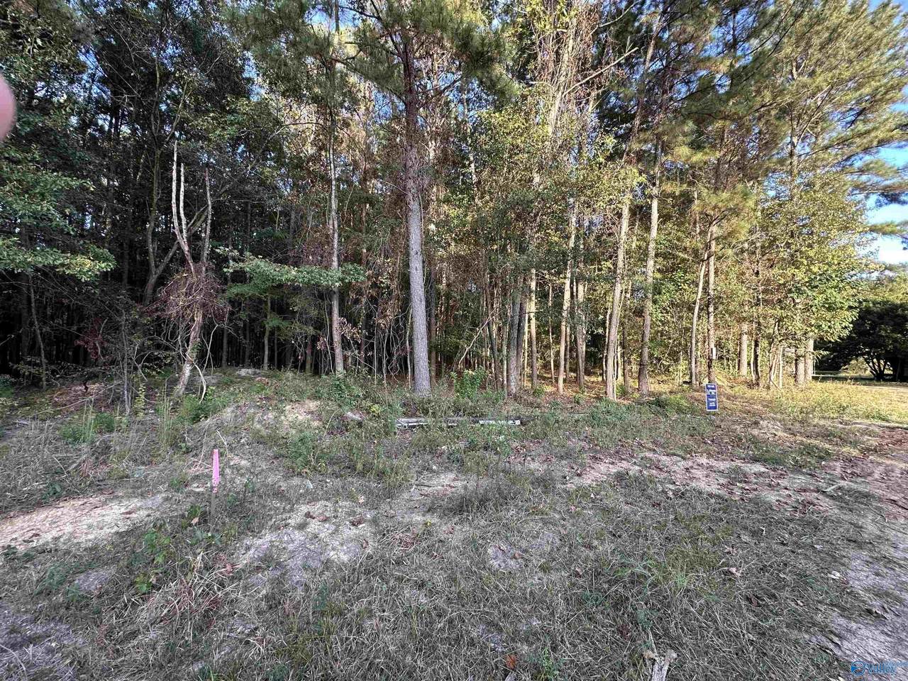 24 County Road 1011 - Photo 1
