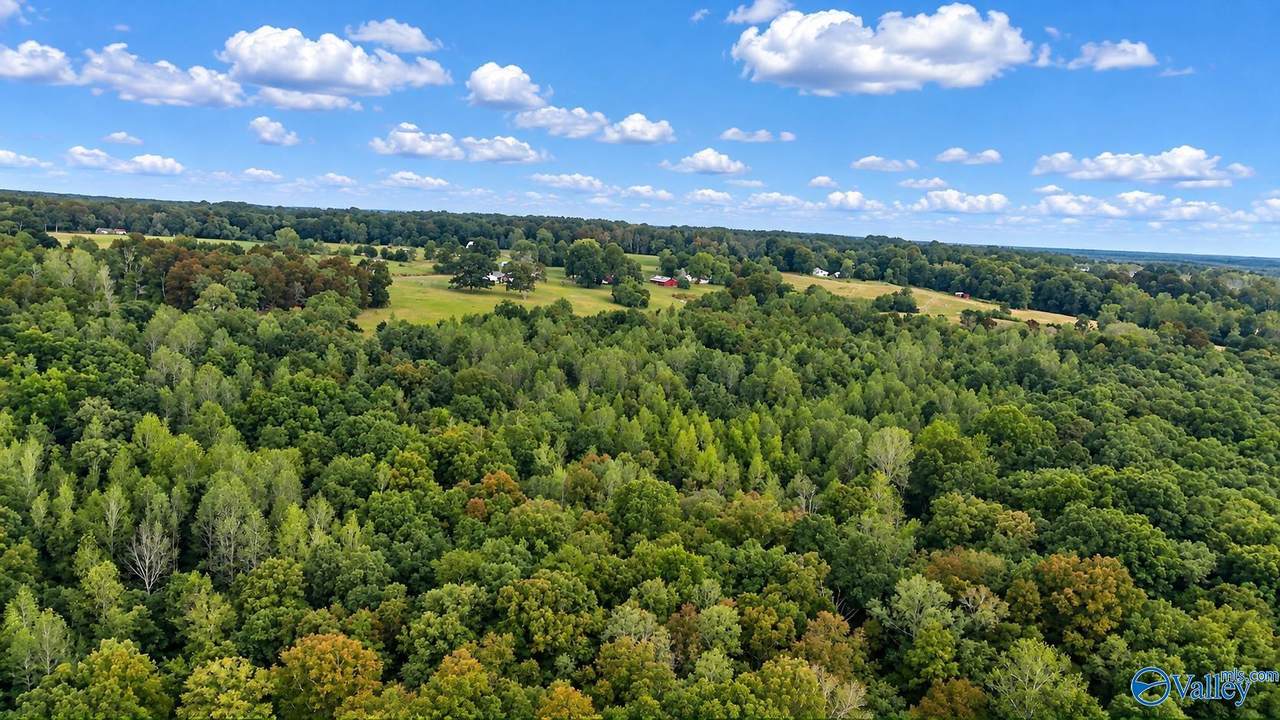 14 AC Wallace Avenue - Photo 1