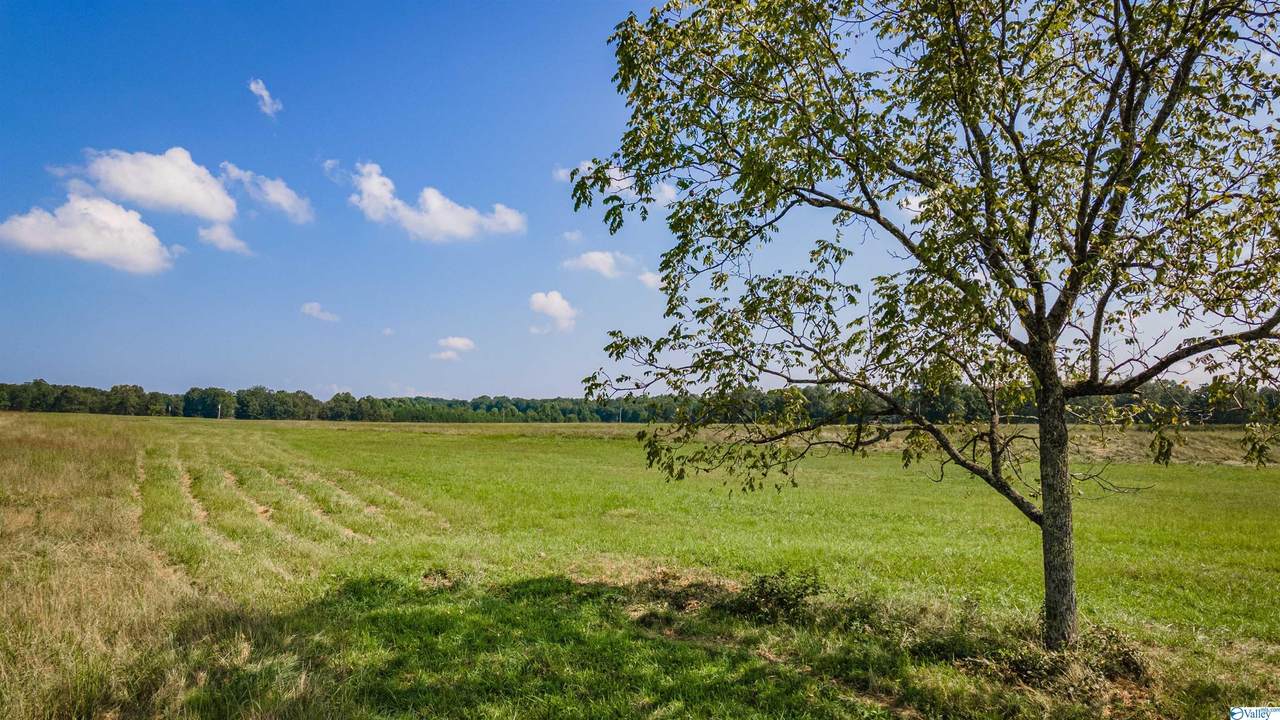 County Road 649 - Photo 1