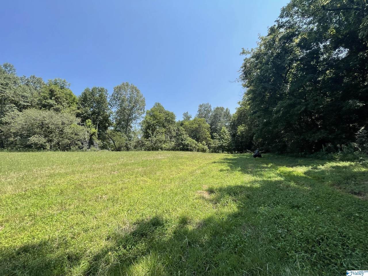 29546 Persimmon Tree Road - Photo 1