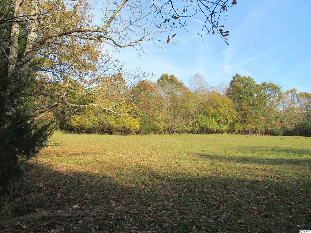 000 Young Hollow Road - Photo 1
