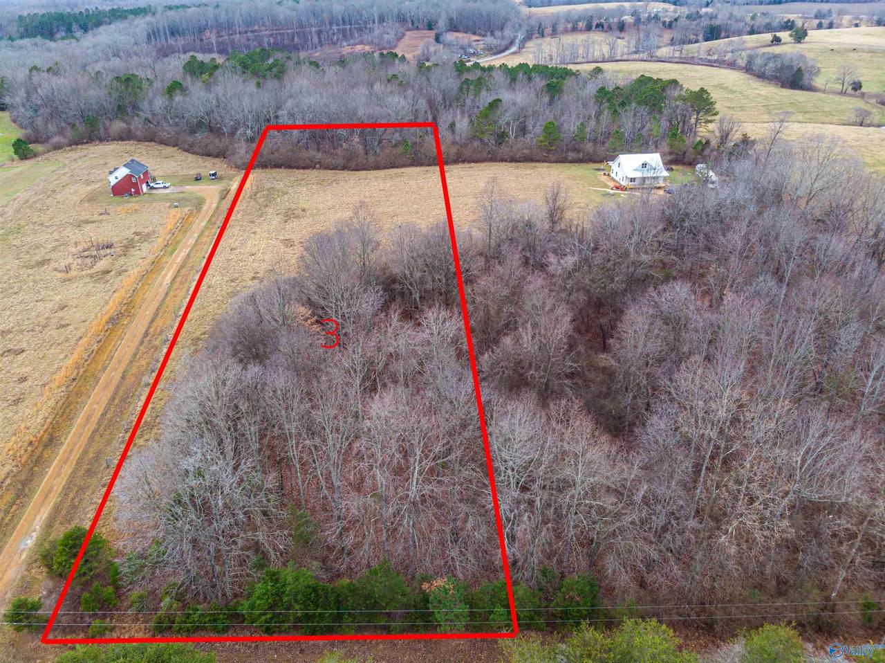 Tract 3 Jernigan Hollow Road - Photo 1