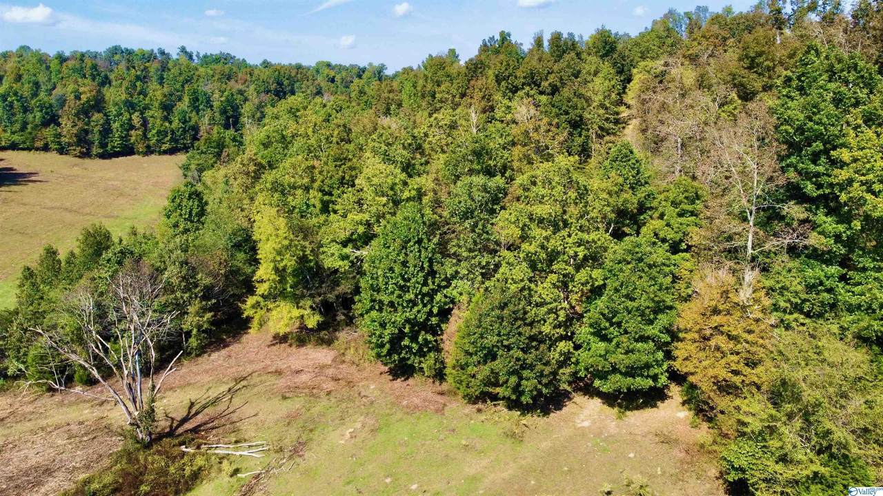 Lot 4 Goresville Road - Photo 1