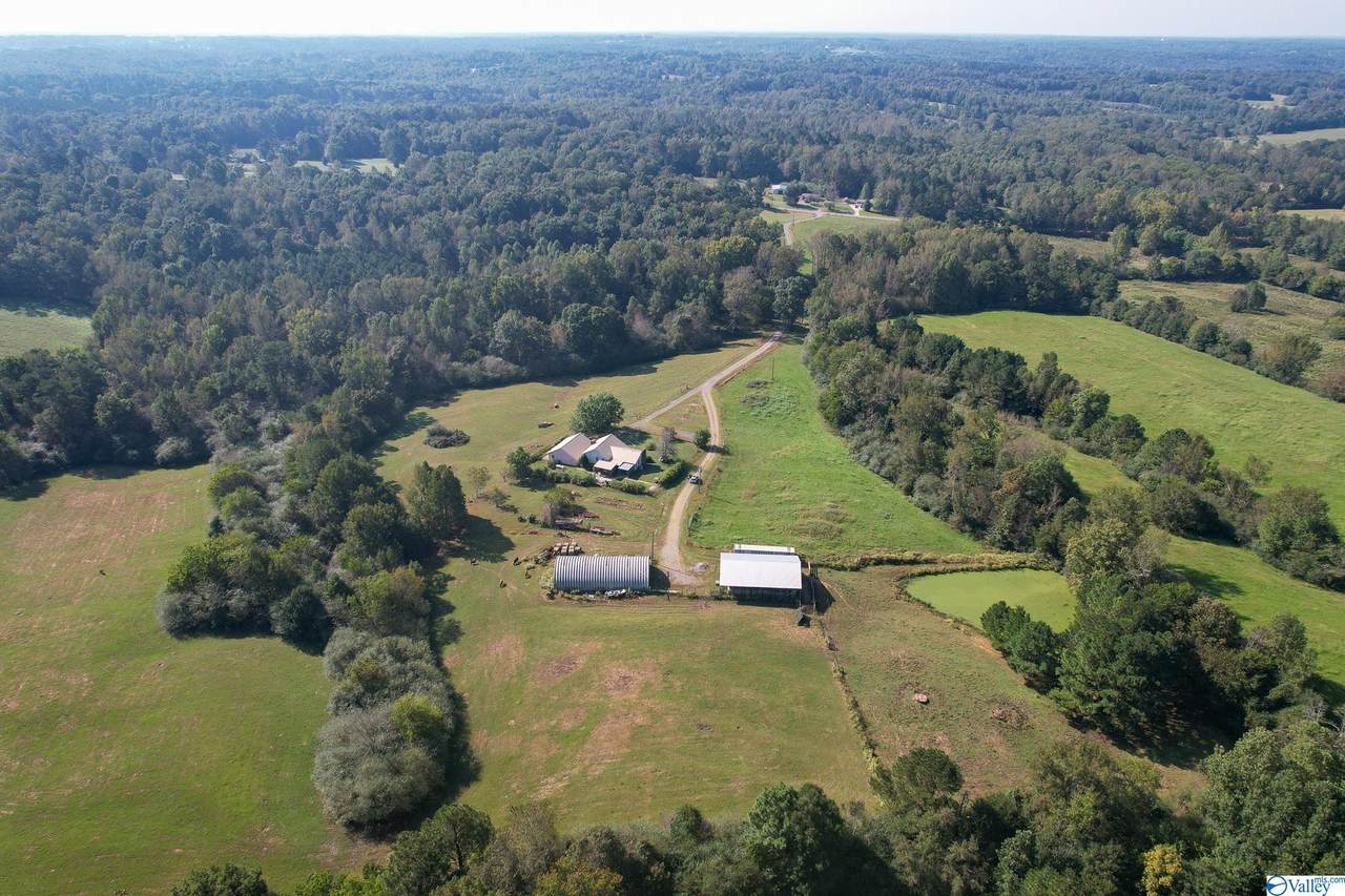 1600 Ruth Road - Photo 1