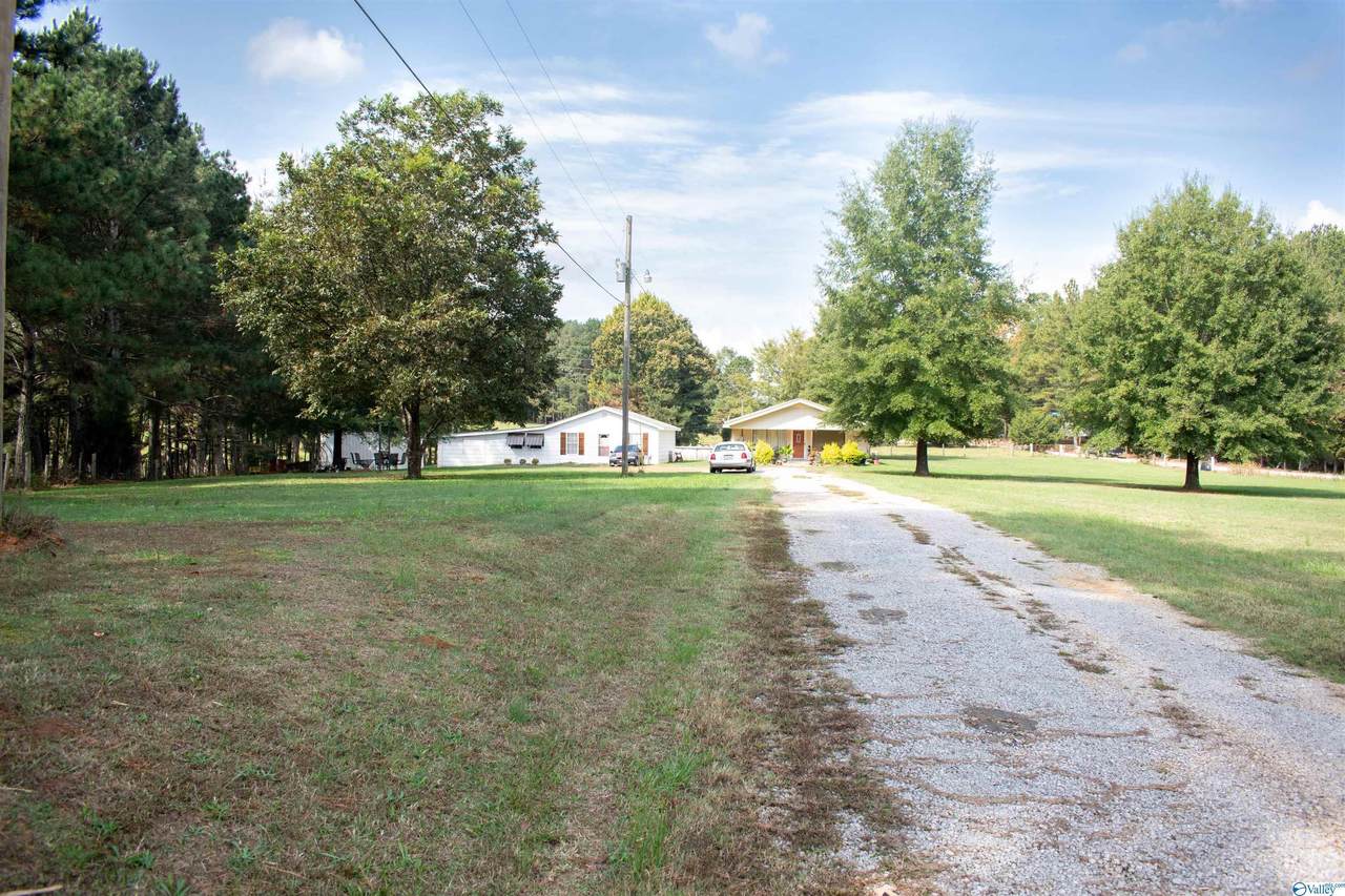 894 County Road 240 - Photo 1