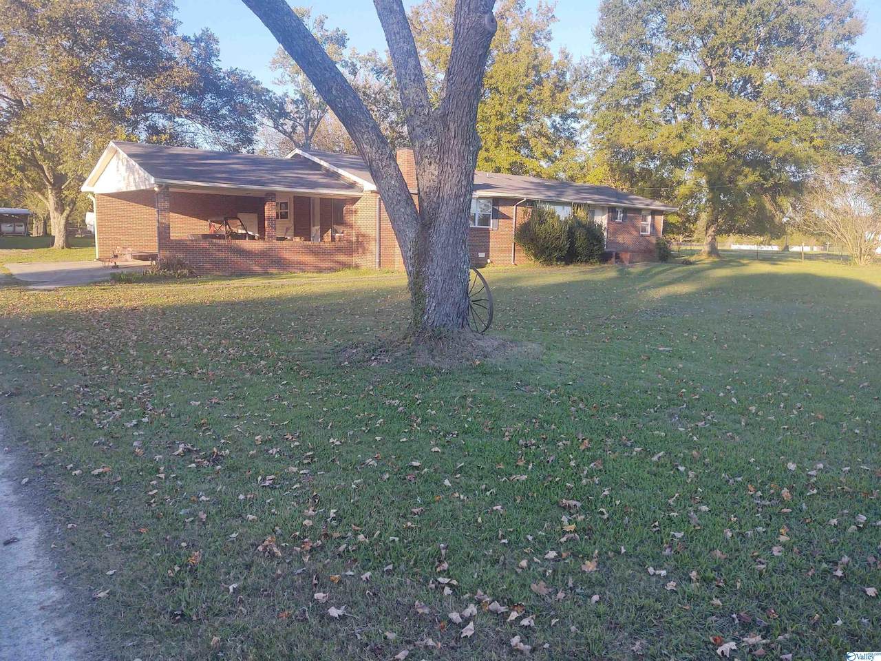 647 Albert Mann Road - Photo 1