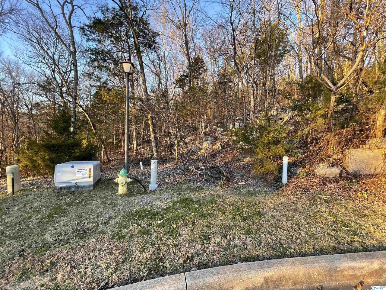 LOT 23 Grande Woods Drive - Photo 1