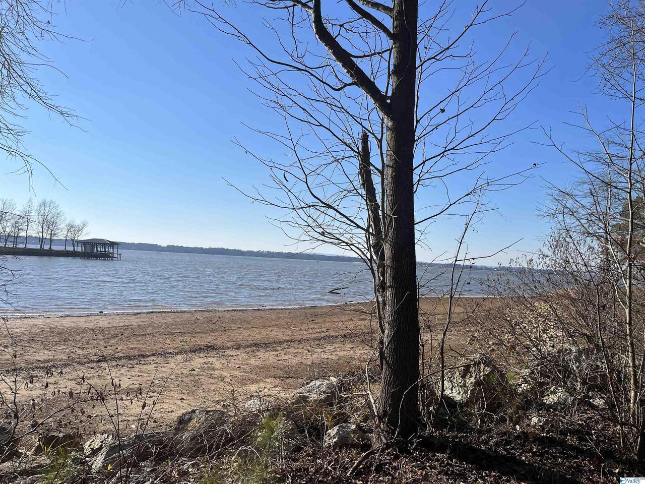 675 County Road 506 - Photo 1