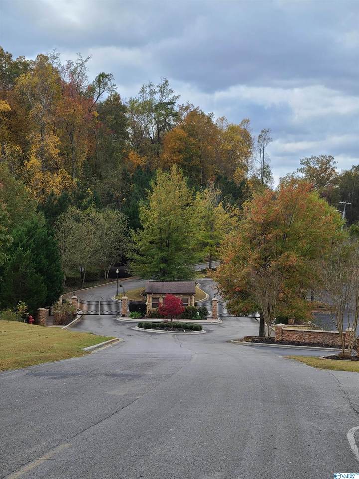 105 Pinnacle Point - Photo 1