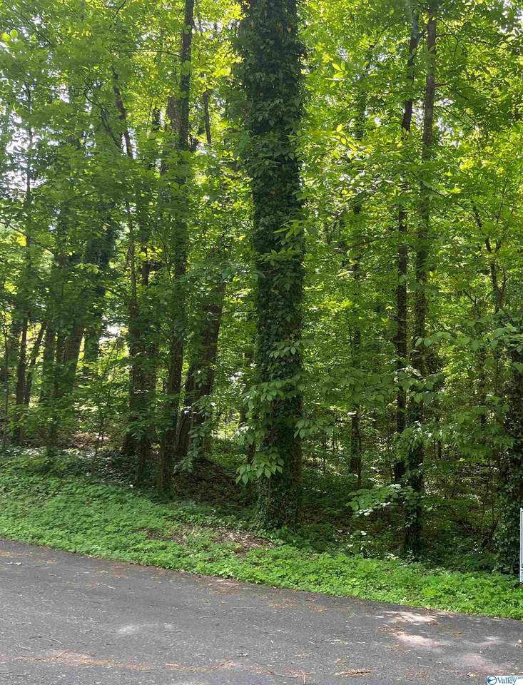 Lot 17 Creek Circle - Photo 1