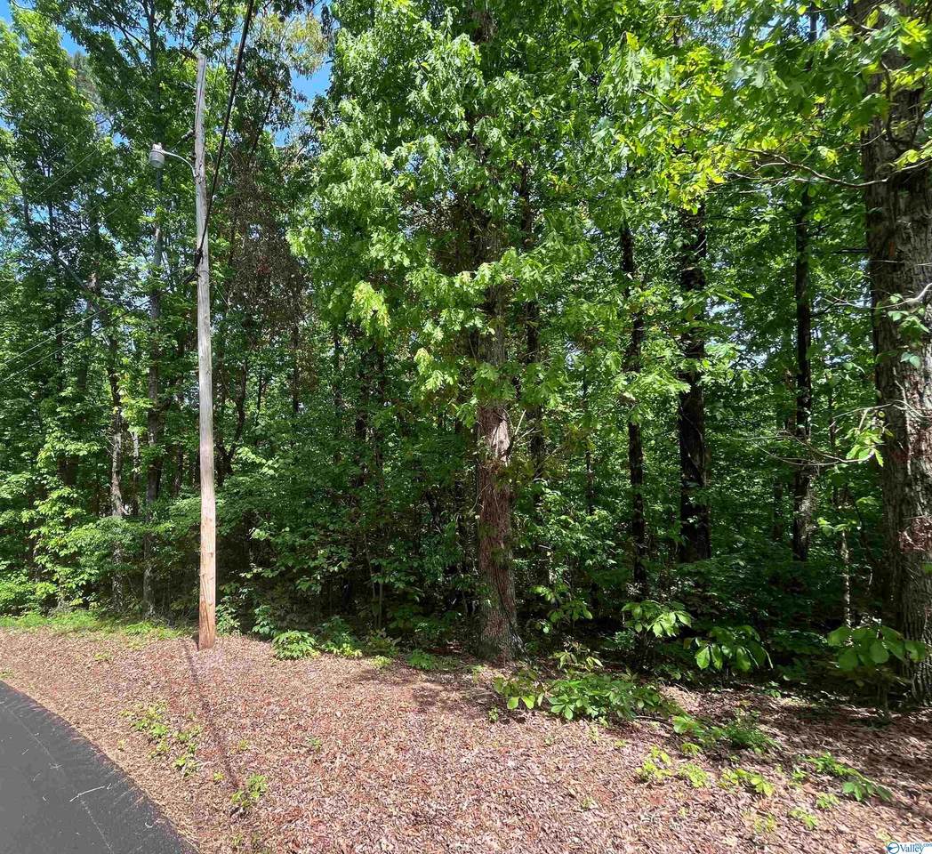 Lot 4 Cedar Lane - Photo 1