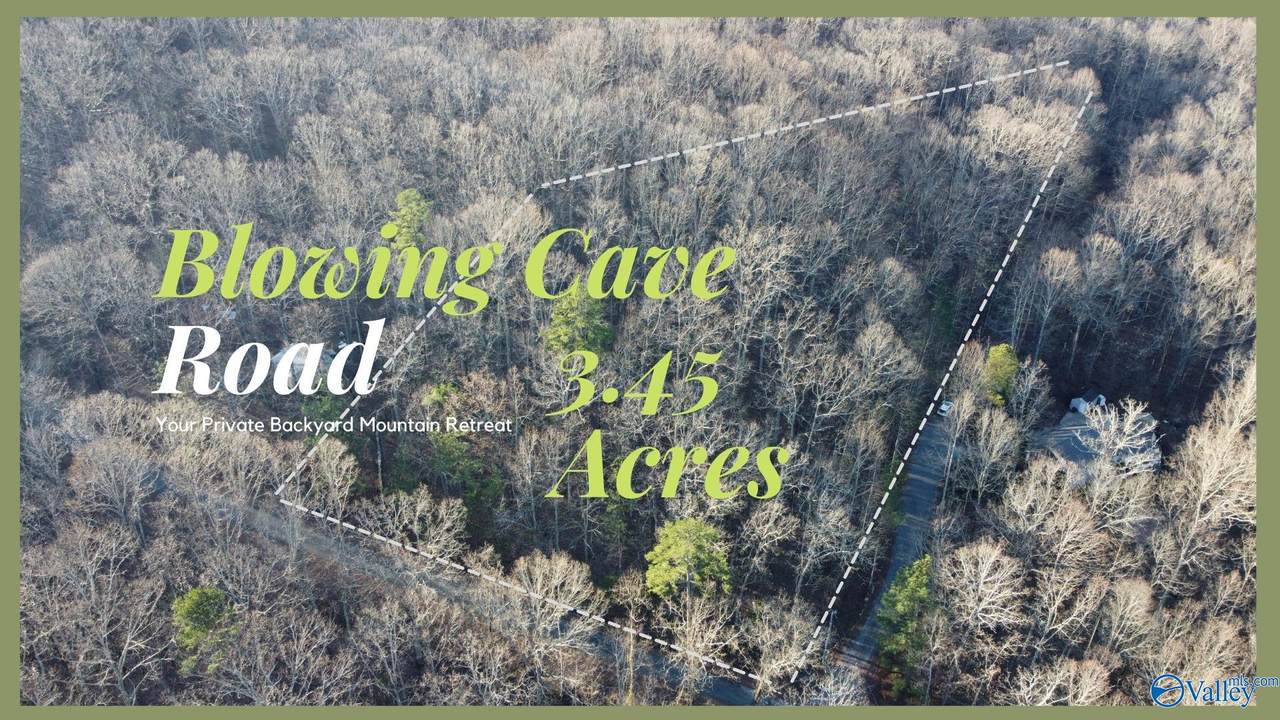 1000 Blowing Cave Road - Photo 1
