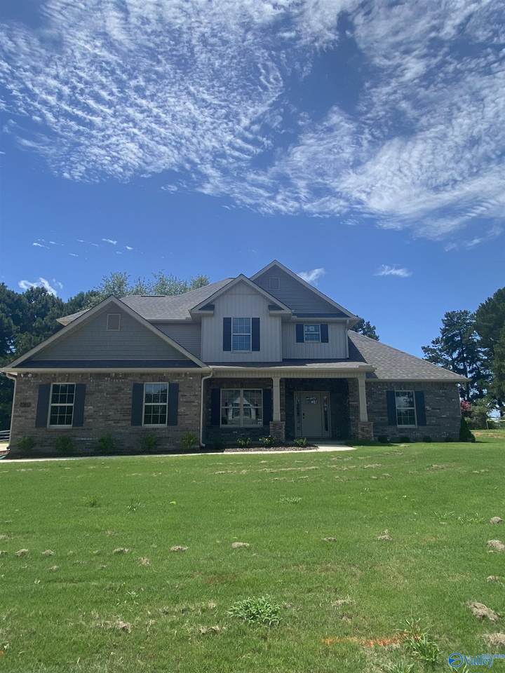 27032 Red Acres Lane - Photo 1