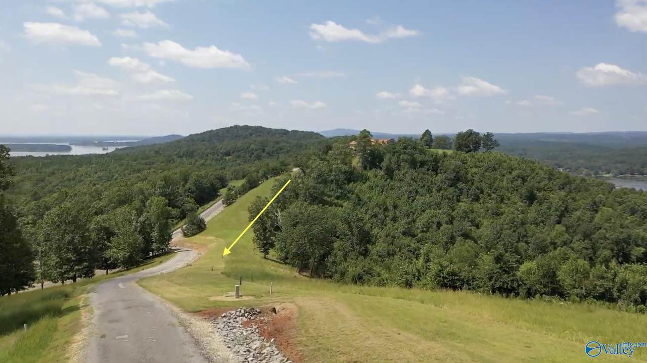 Lot 212 County Road 1022 - Photo 1