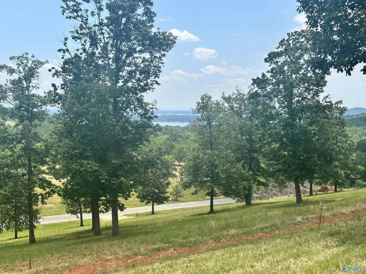Lot 218 County Road 1022 - Photo 1