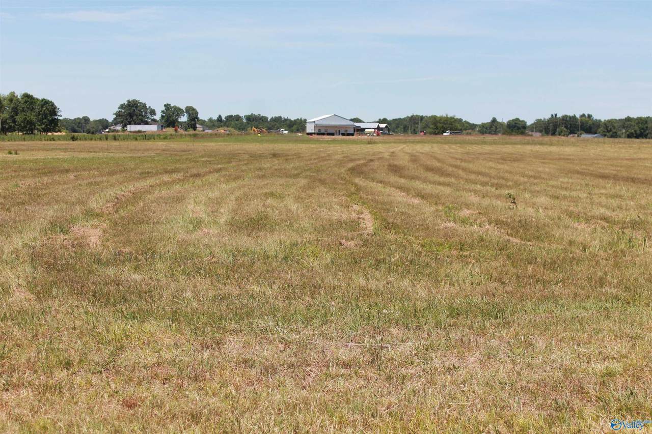 Tract 6 Highway 55 - Photo 1