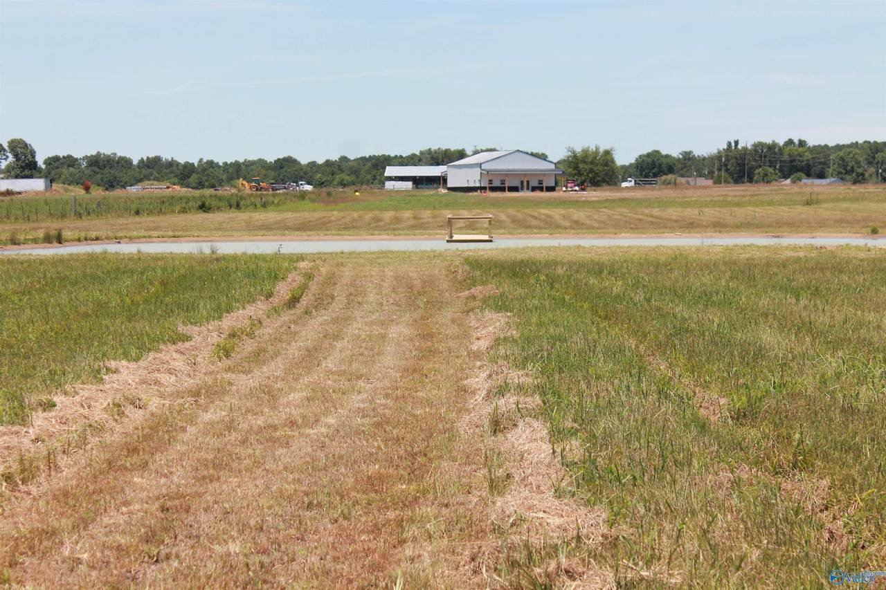 Tract 7 Highway 55 - Photo 1