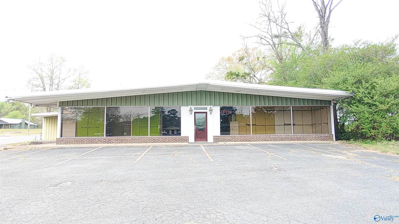218 Brindlee Mountain Parkway - Photo 1
