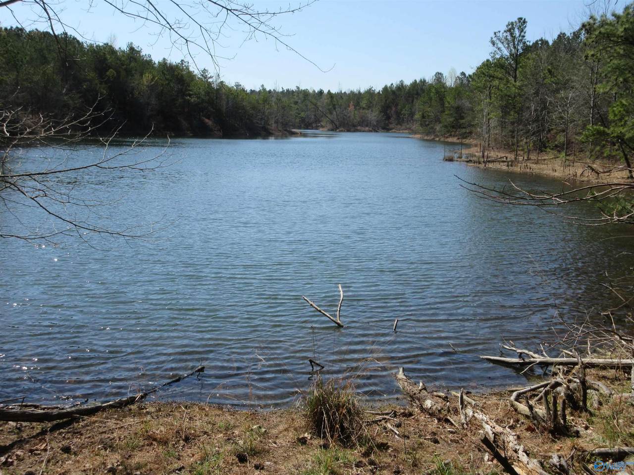 1876 County Road 684 - Photo 1