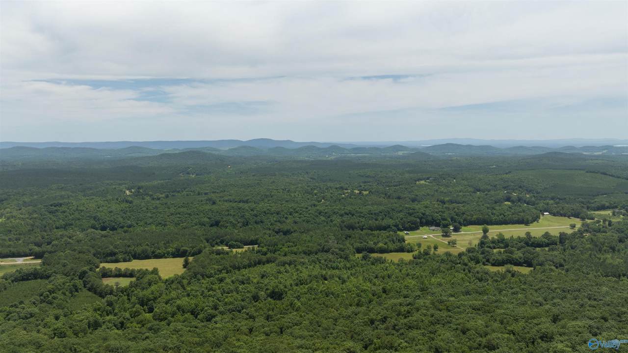 495 County Road 865 - Photo 1