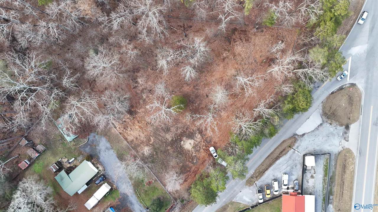 9175 Hokes Bluff Road - Photo 1