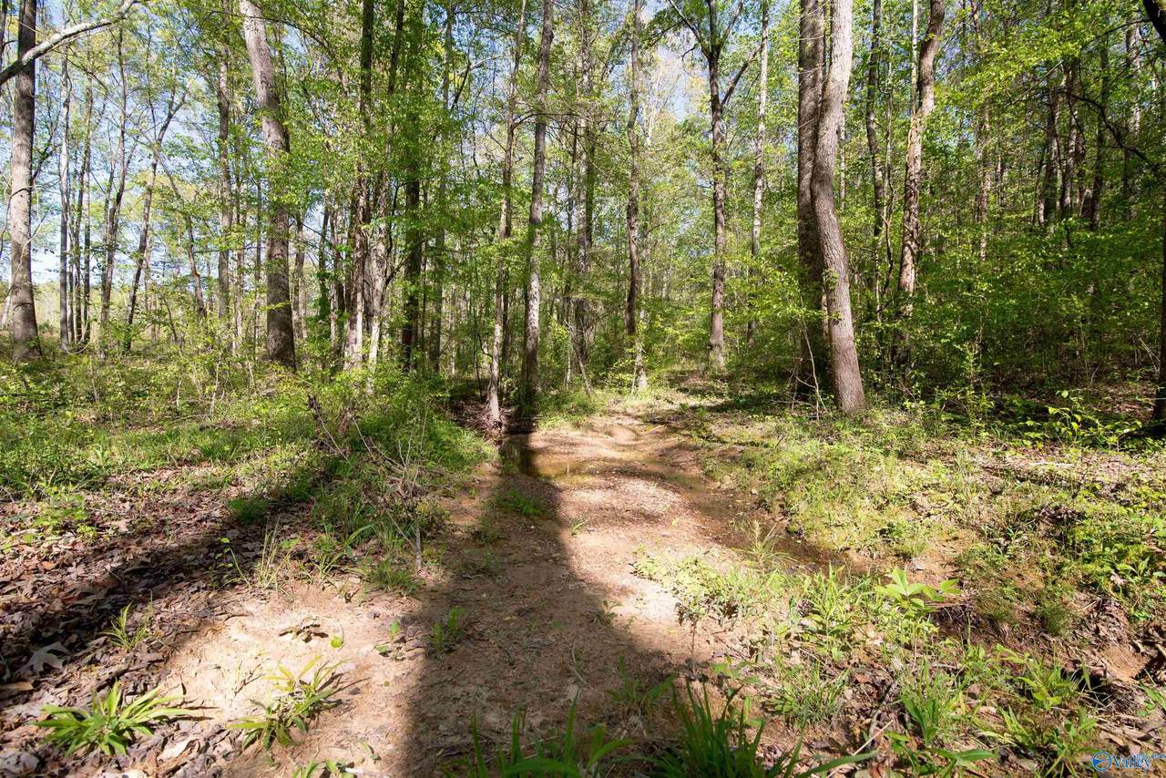 LOT 28 County Road 279 - Photo 1