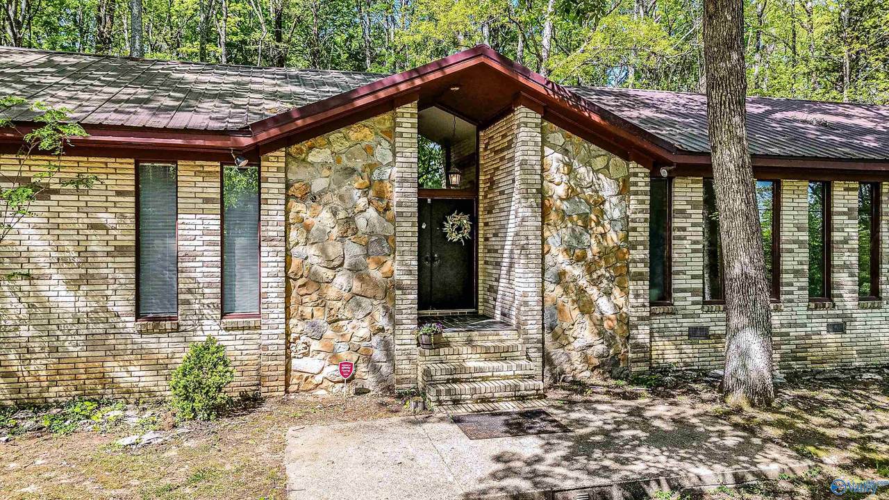 11009 Vivian Drive - Photo 1