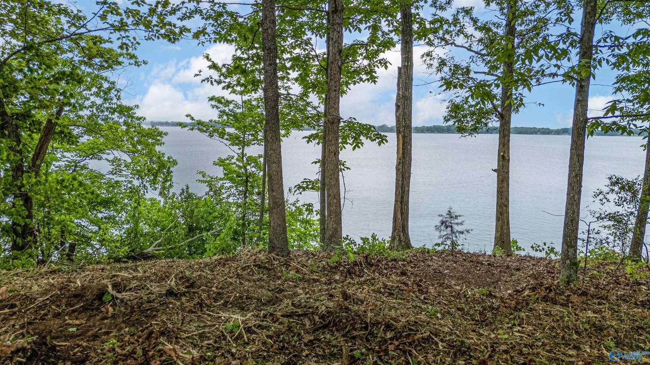 Lot 16 County Road 462 - Photo 1
