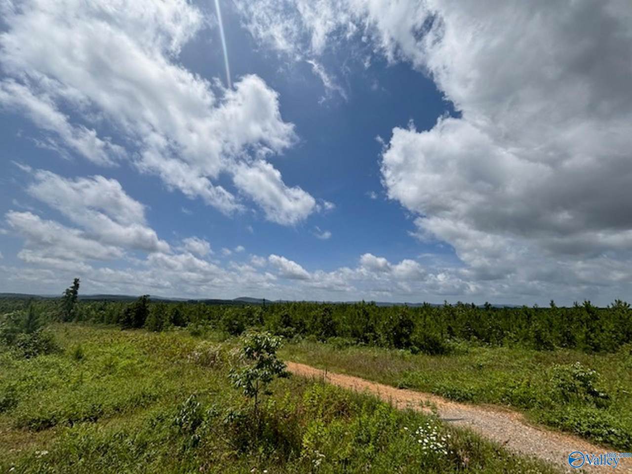 Tract 6 Tom Cat Road - Photo 1
