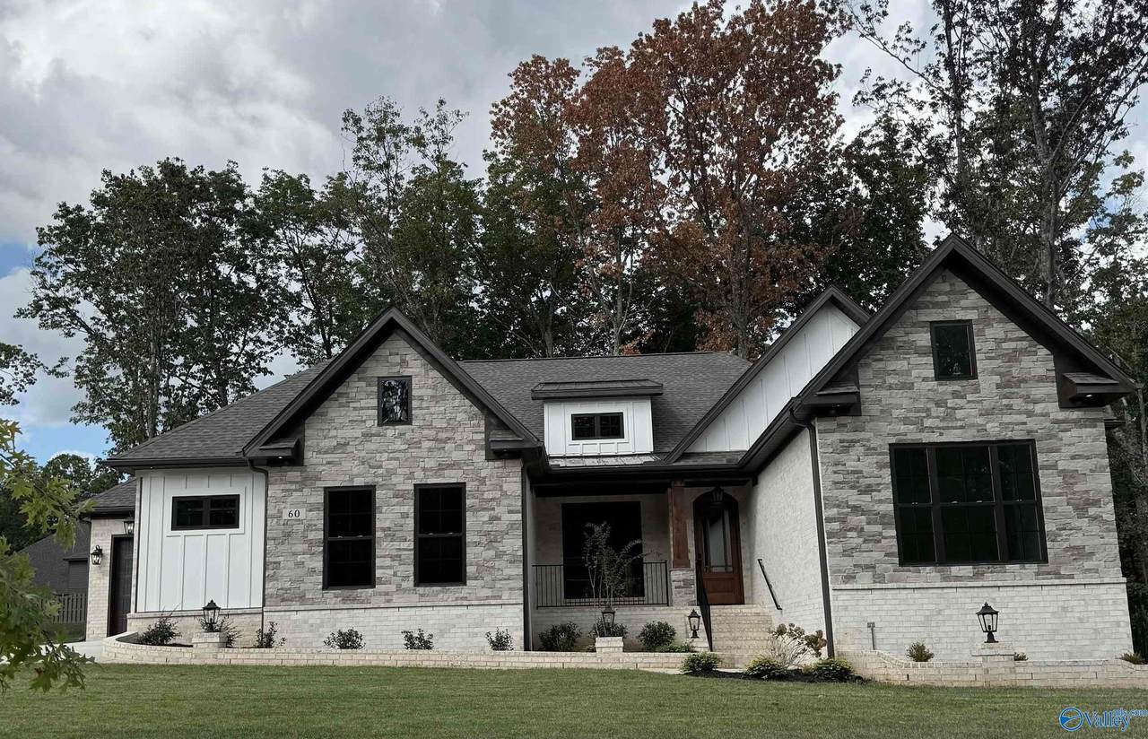 60 Trail Loop Road - Photo 1