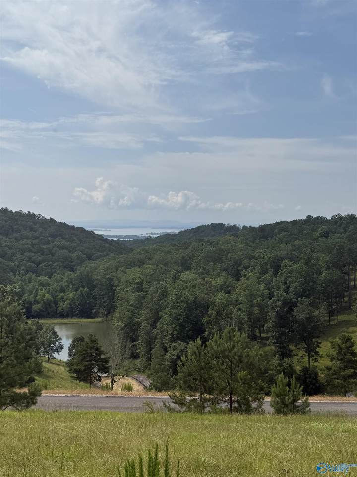 Lot 215 County Road 1022 - Photo 1