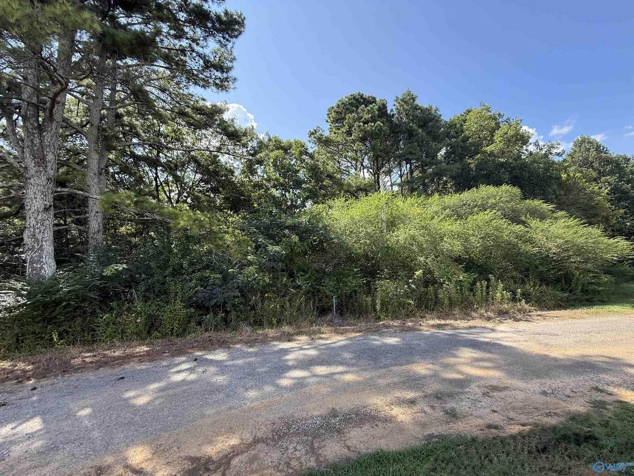 1AC County Road 1038 - Photo 1