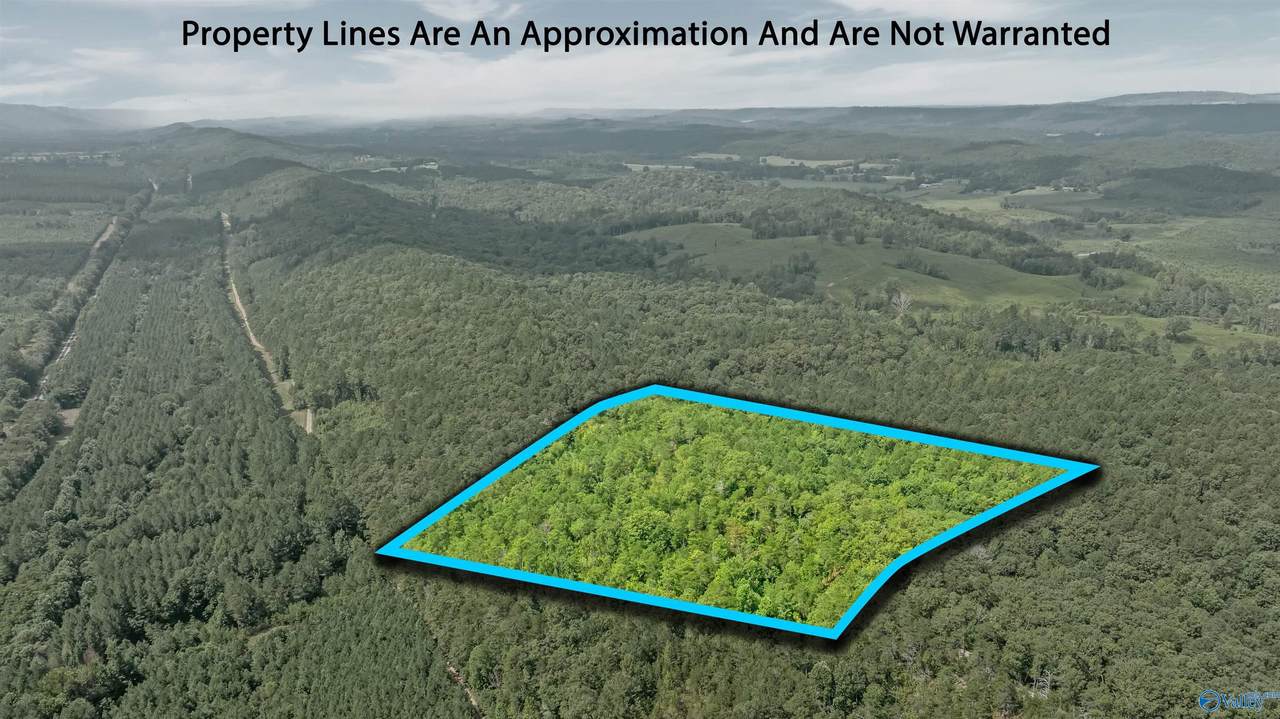 15 County Road 759 - Photo 1