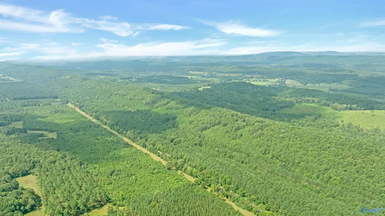 https://bt-photos.global.ssl.fastly.net/nalmls/1280_boomver_2_21896322-2.jpg