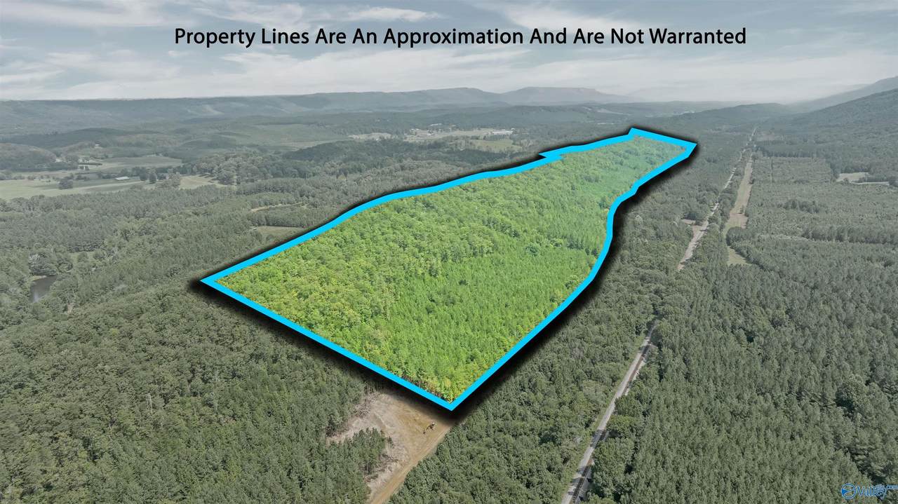 13 County Road 759 - Photo 1