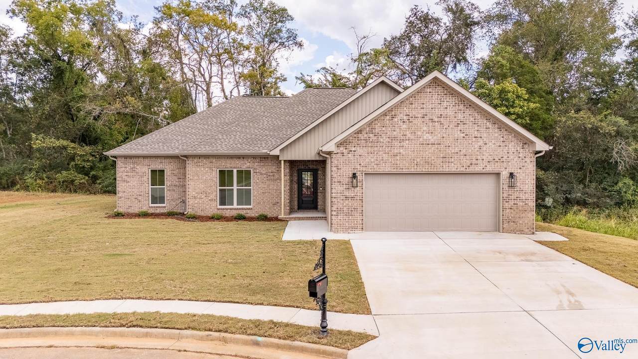 509 Zoey Grace Drive - Photo 1