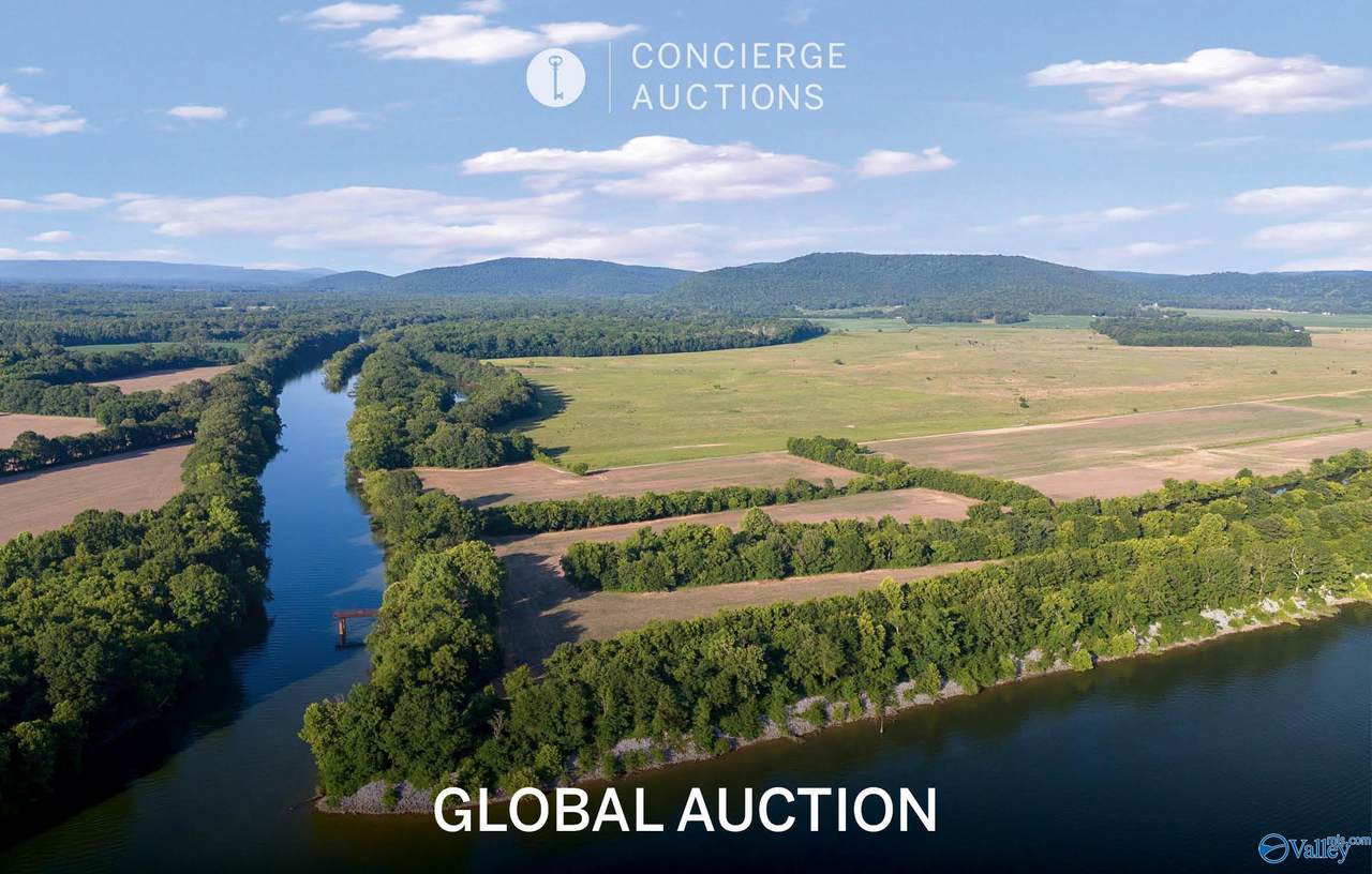 24.2 Acres C C Ivey Road - Photo 1