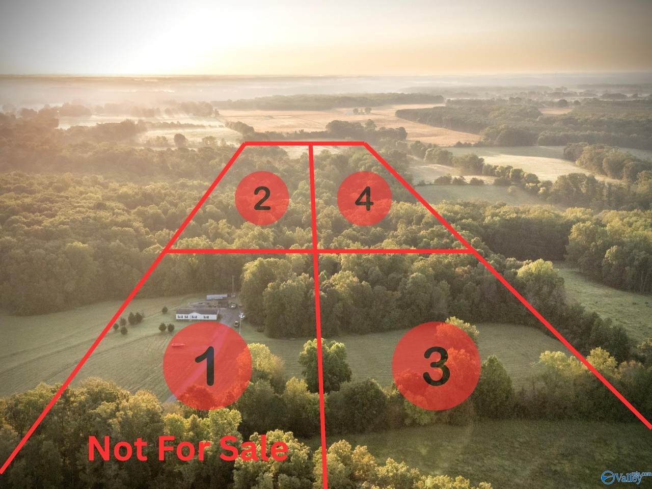 TRACT 4 County Road 503 - Photo 1